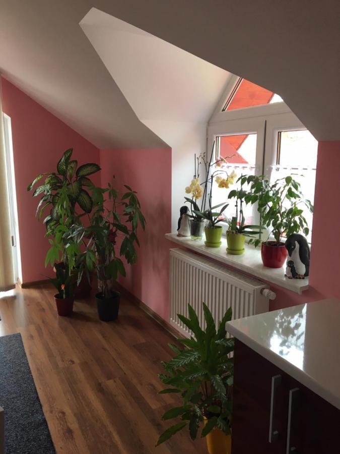 Privat Daniela Strba Apartment Ngoại thất bức ảnh